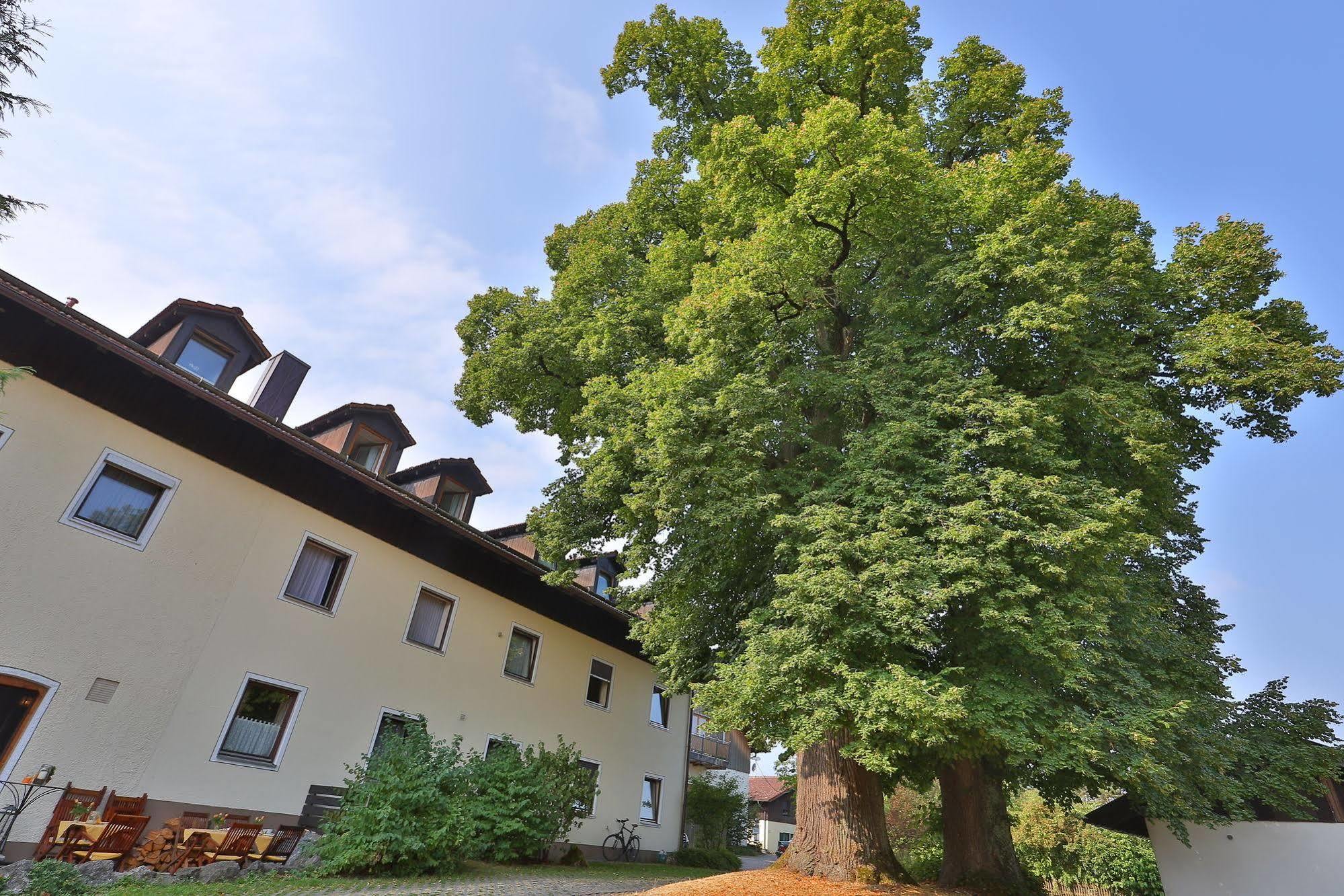 Bockmaier Oberpframmern